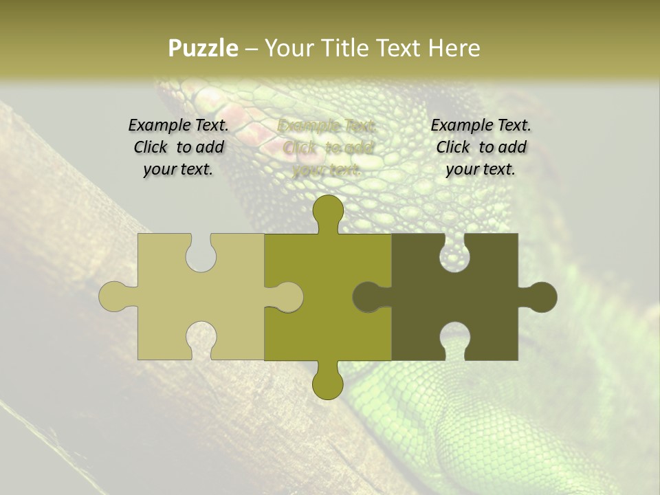 Scale Slow Lizard PowerPoint Template