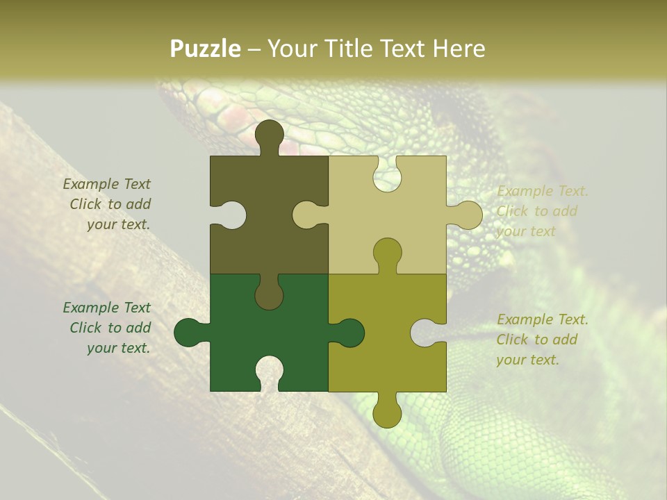 Scale Slow Lizard PowerPoint Template