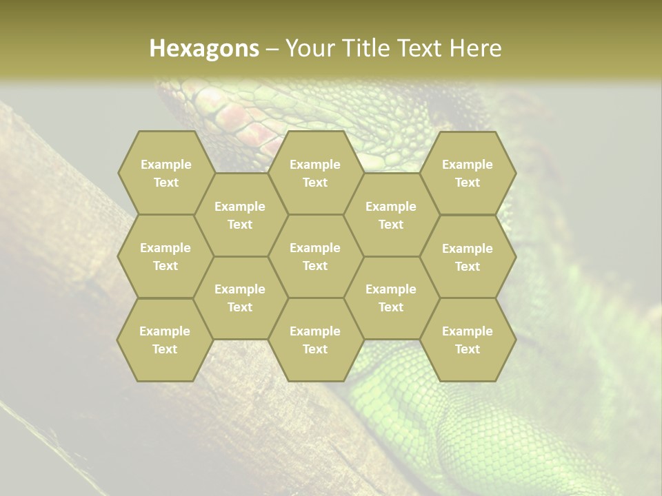 Scale Slow Lizard PowerPoint Template