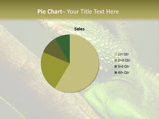 Scale Slow Lizard PowerPoint Template