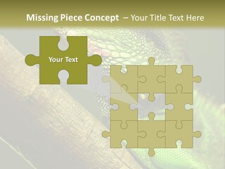 Scale Slow Lizard PowerPoint Template