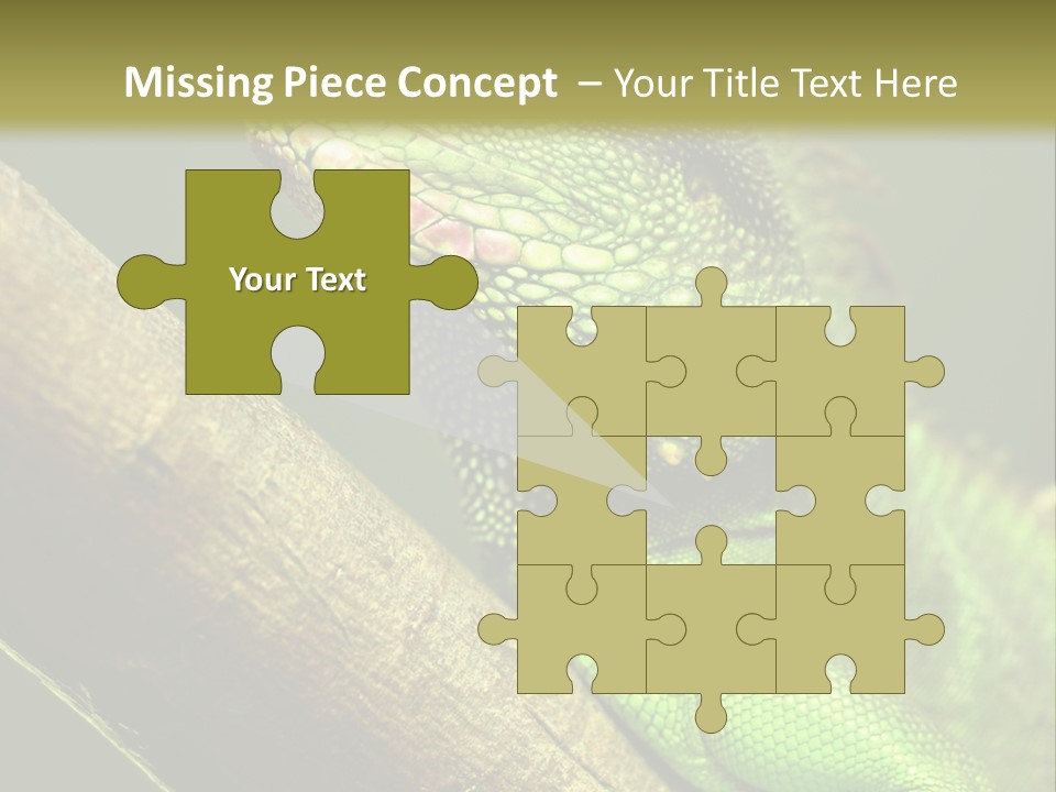 Scale Slow Lizard PowerPoint Template