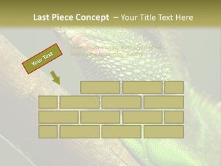 Scale Slow Lizard PowerPoint Template