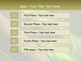 Scale Slow Lizard PowerPoint Template