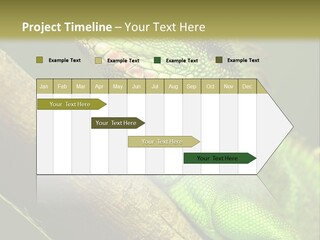 Scale Slow Lizard PowerPoint Template