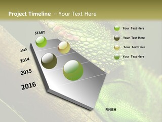 Scale Slow Lizard PowerPoint Template