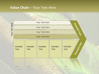 Scale Slow Lizard PowerPoint Template