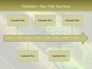 Scale Slow Lizard PowerPoint Template