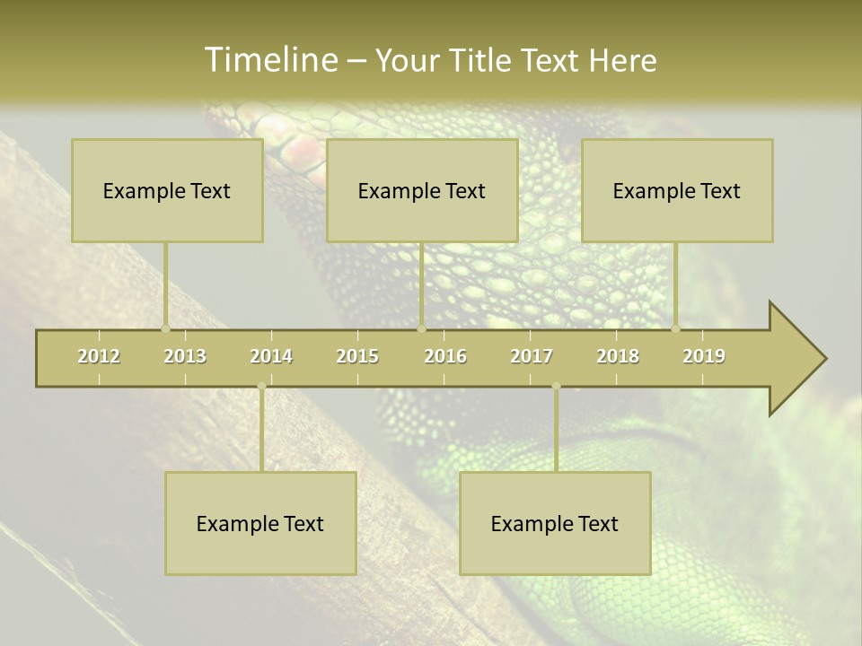 Scale Slow Lizard PowerPoint Template