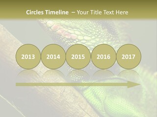 Scale Slow Lizard PowerPoint Template