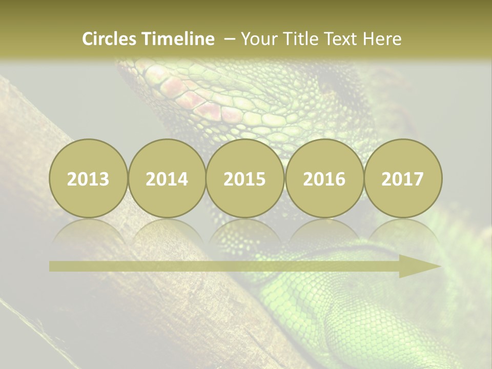 Scale Slow Lizard PowerPoint Template
