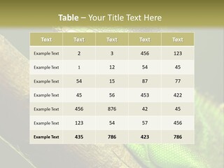 Scale Slow Lizard PowerPoint Template