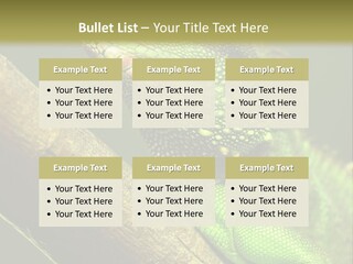Scale Slow Lizard PowerPoint Template