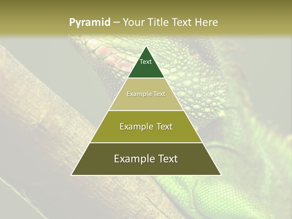 Scale Slow Lizard PowerPoint Template