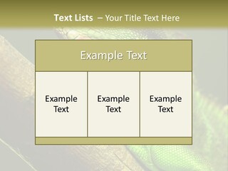 Scale Slow Lizard PowerPoint Template