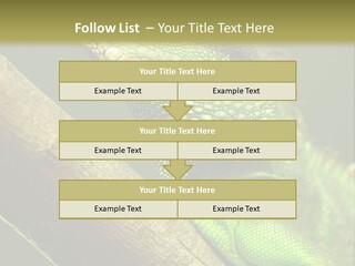 Scale Slow Lizard PowerPoint Template