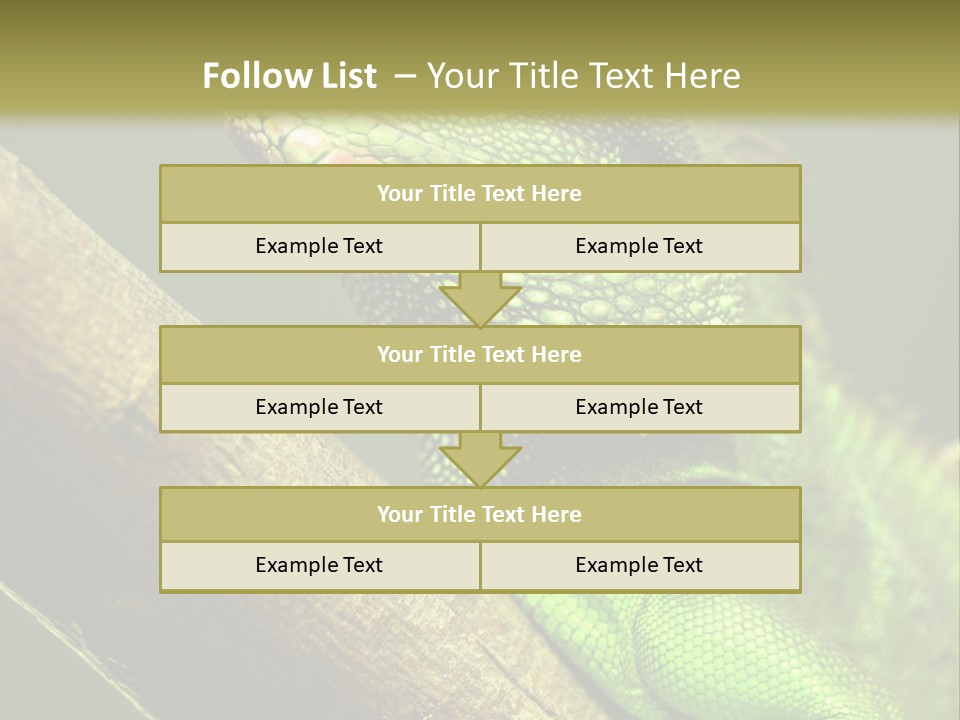 Scale Slow Lizard PowerPoint Template