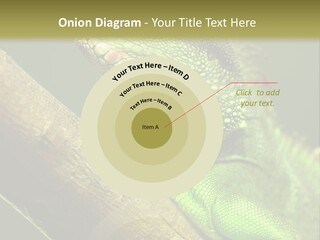 Scale Slow Lizard PowerPoint Template