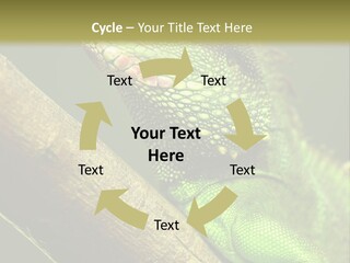 Scale Slow Lizard PowerPoint Template