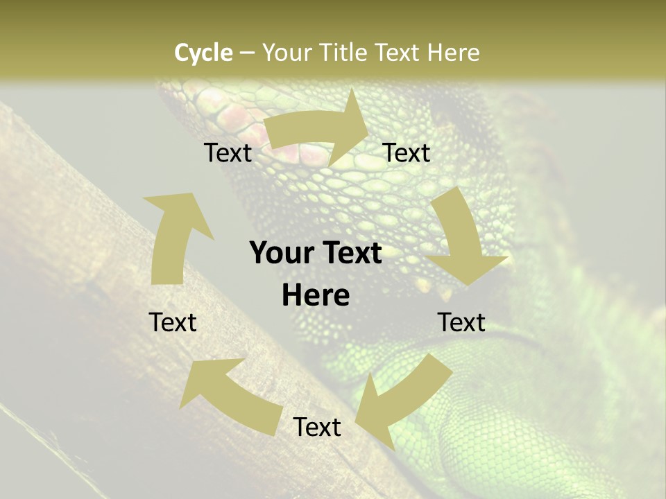 Scale Slow Lizard PowerPoint Template