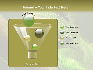 Scale Slow Lizard PowerPoint Template