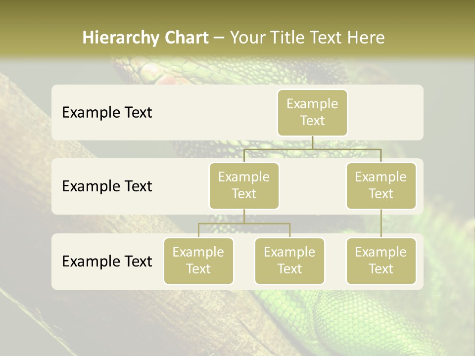 Scale Slow Lizard PowerPoint Template