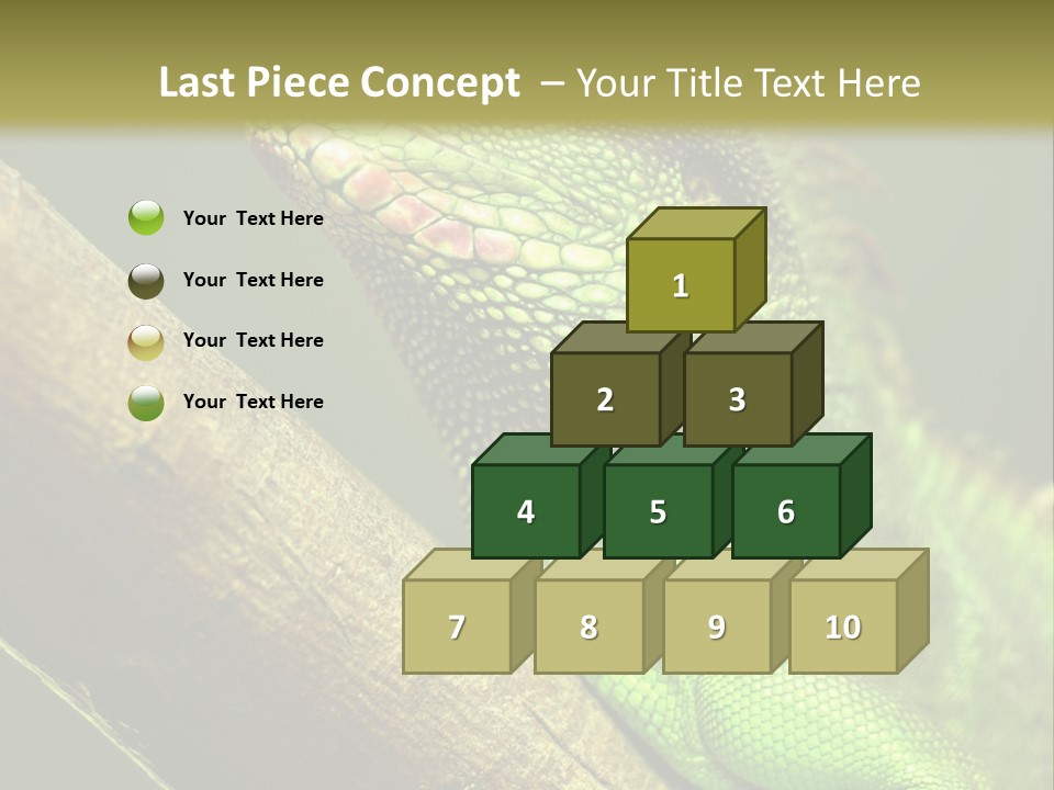 Scale Slow Lizard PowerPoint Template