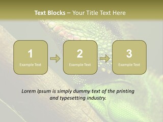 Scale Slow Lizard PowerPoint Template