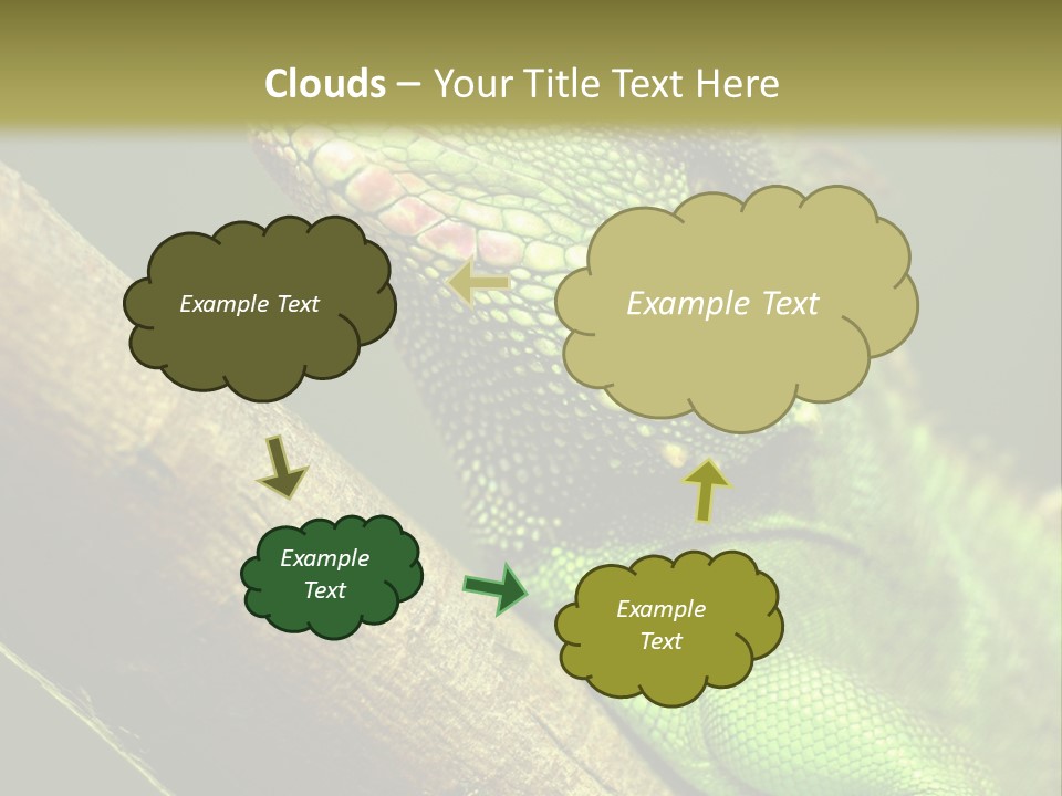 Scale Slow Lizard PowerPoint Template