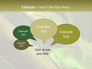 Scale Slow Lizard PowerPoint Template