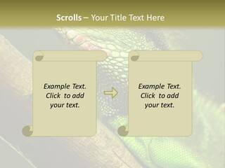 Scale Slow Lizard PowerPoint Template