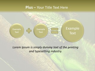 Scale Slow Lizard PowerPoint Template