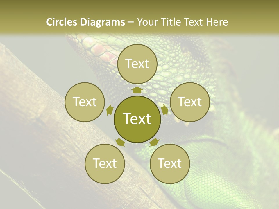 Scale Slow Lizard PowerPoint Template