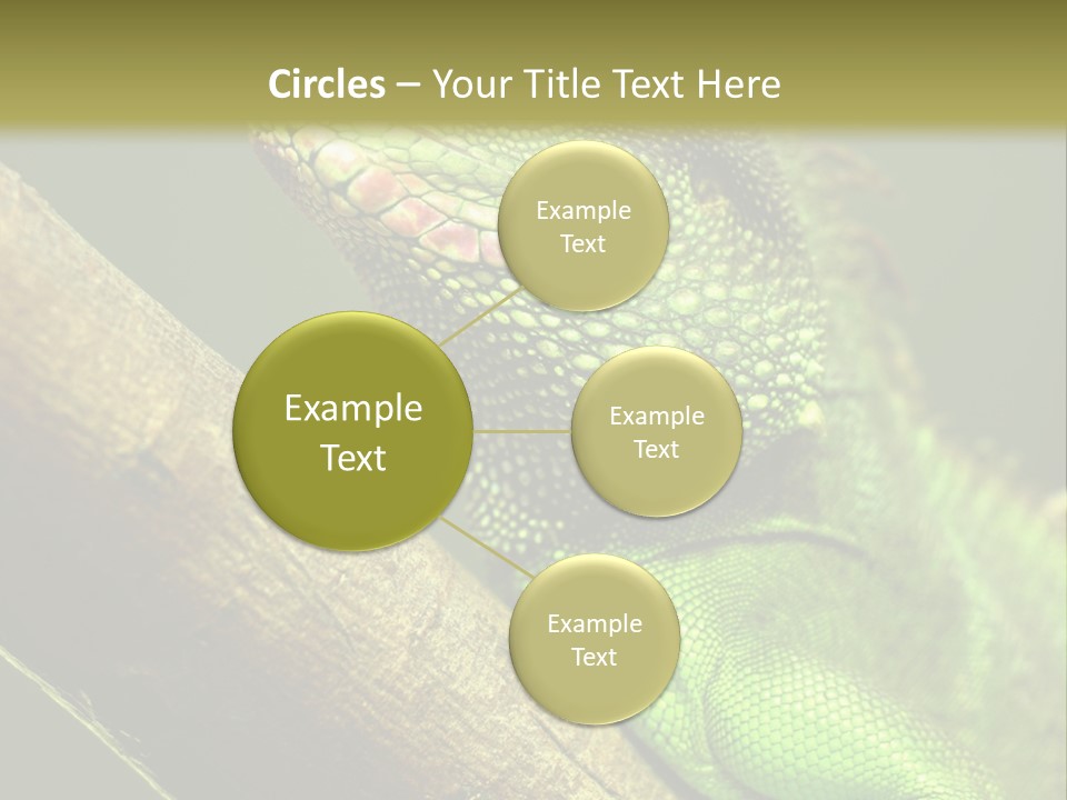 Scale Slow Lizard PowerPoint Template