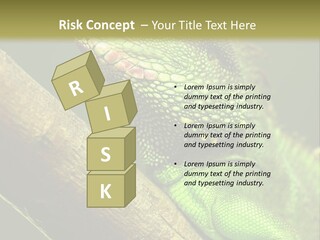 Scale Slow Lizard PowerPoint Template