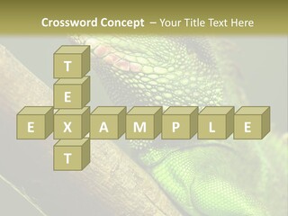 Scale Slow Lizard PowerPoint Template