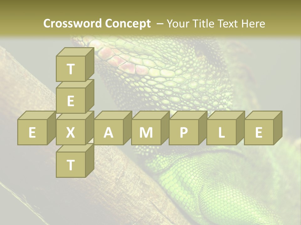 Scale Slow Lizard PowerPoint Template