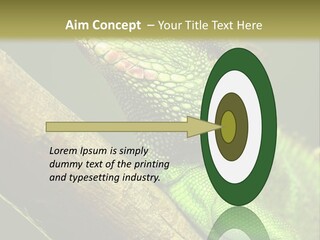 Scale Slow Lizard PowerPoint Template