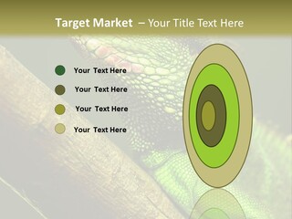 Scale Slow Lizard PowerPoint Template