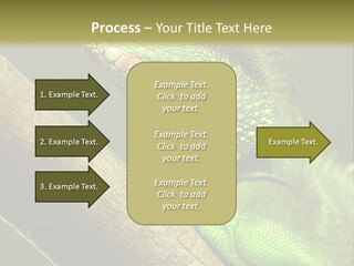 Scale Slow Lizard PowerPoint Template