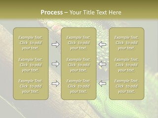 Scale Slow Lizard PowerPoint Template