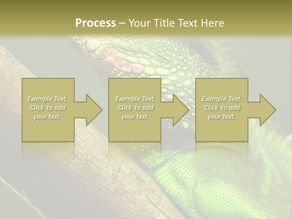 Scale Slow Lizard PowerPoint Template