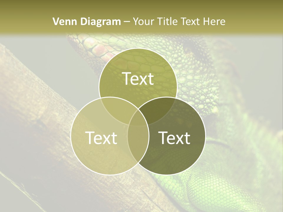 Scale Slow Lizard PowerPoint Template