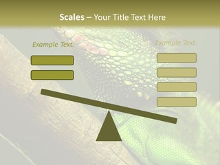 Scale Slow Lizard PowerPoint Template