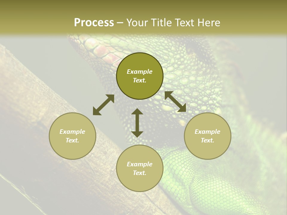 Scale Slow Lizard PowerPoint Template
