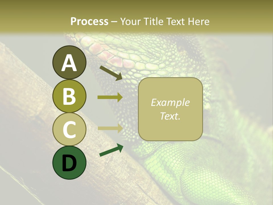 Scale Slow Lizard PowerPoint Template