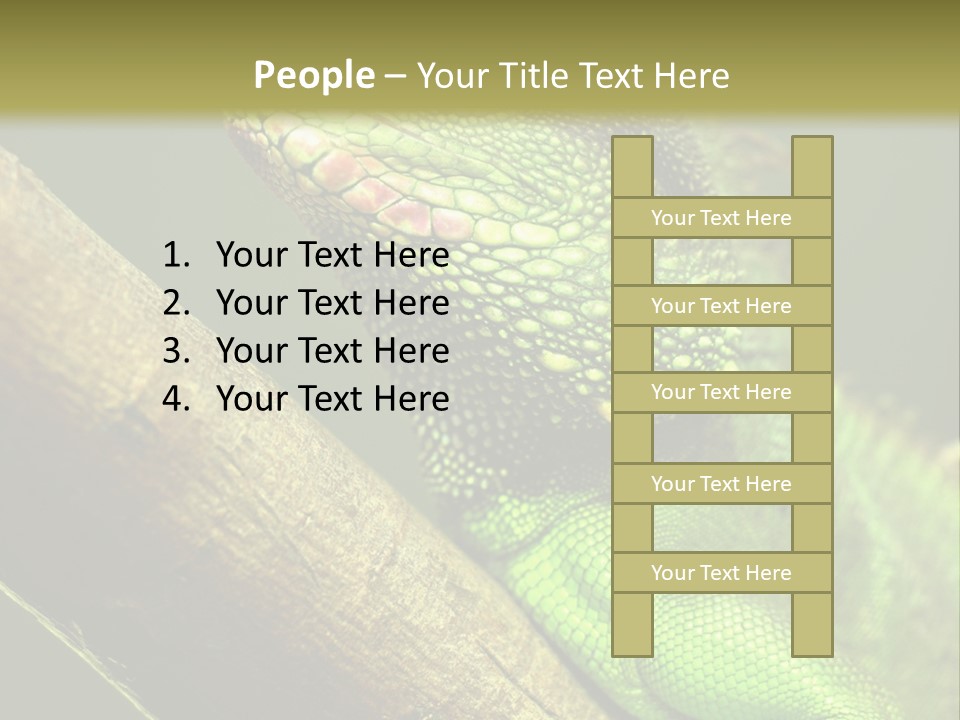 Scale Slow Lizard PowerPoint Template