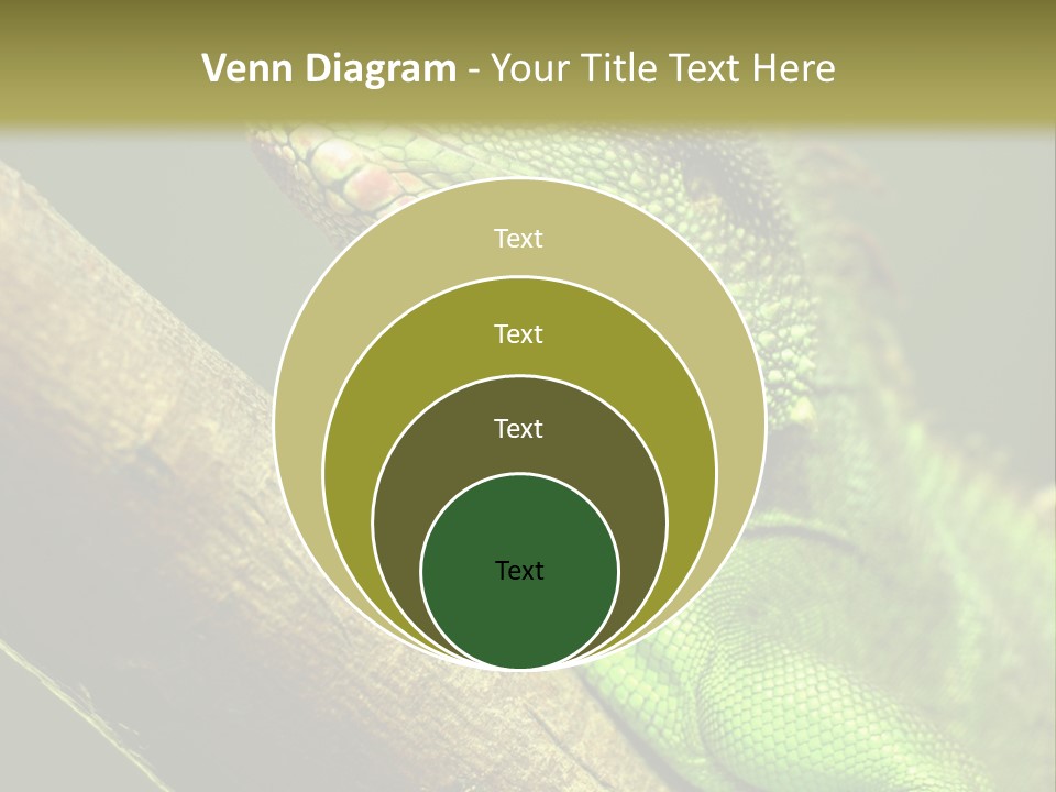 Scale Slow Lizard PowerPoint Template