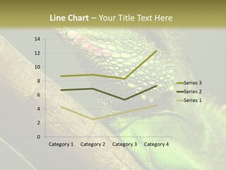 Scale Slow Lizard PowerPoint Template