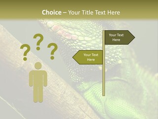 Scale Slow Lizard PowerPoint Template